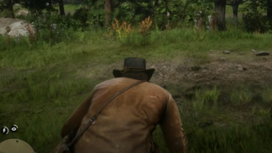 Photo of How To Change Ammo Type In RDR2